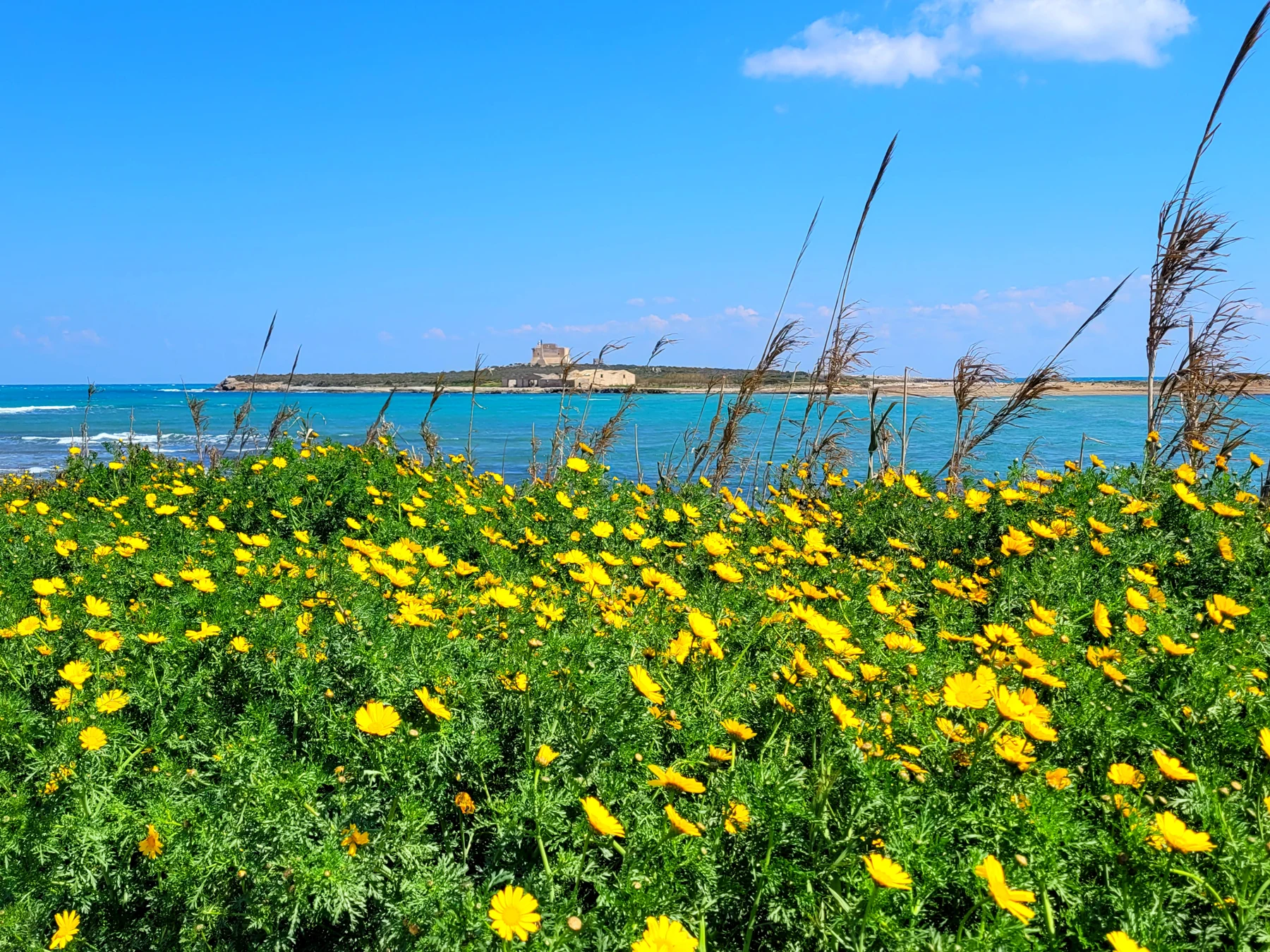 La mia Sicilia — foto 8